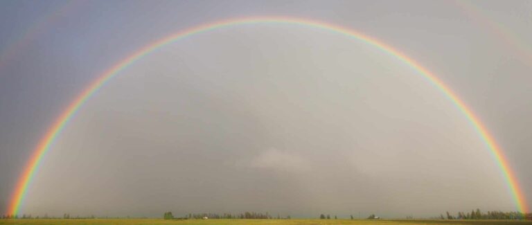 De kracht van Reiki