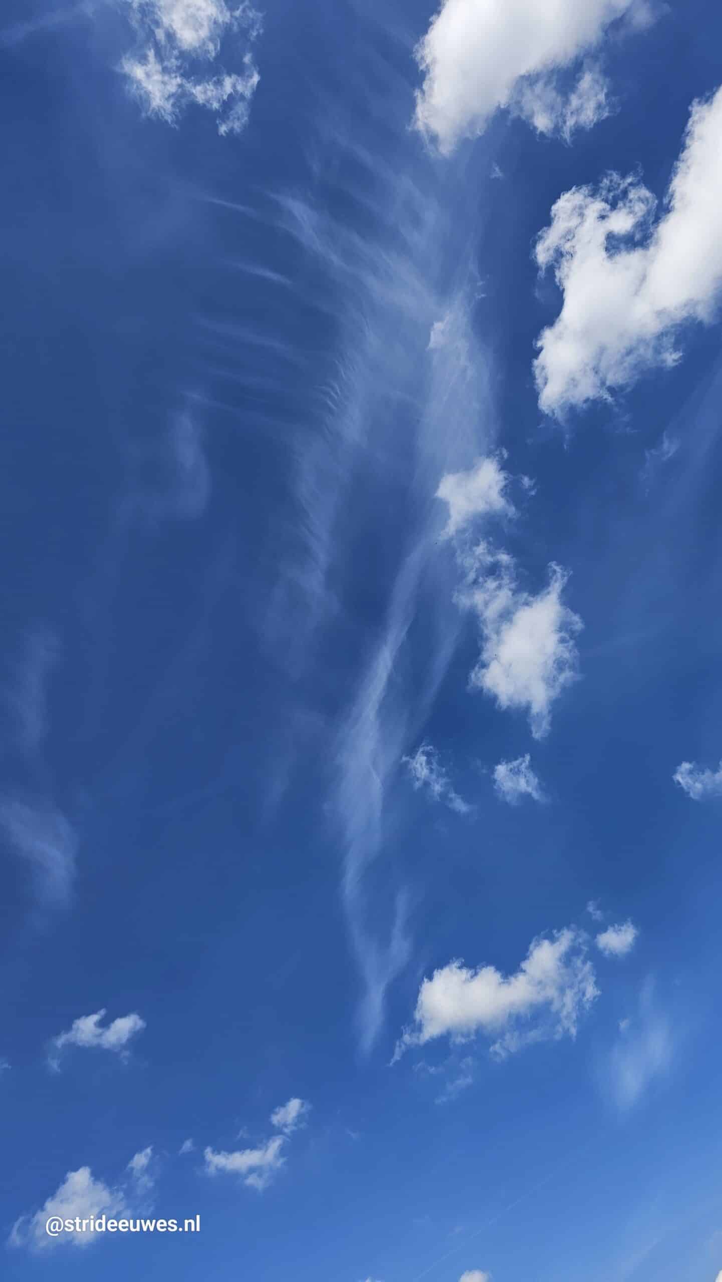 Medium huiskamer bijeenkomst