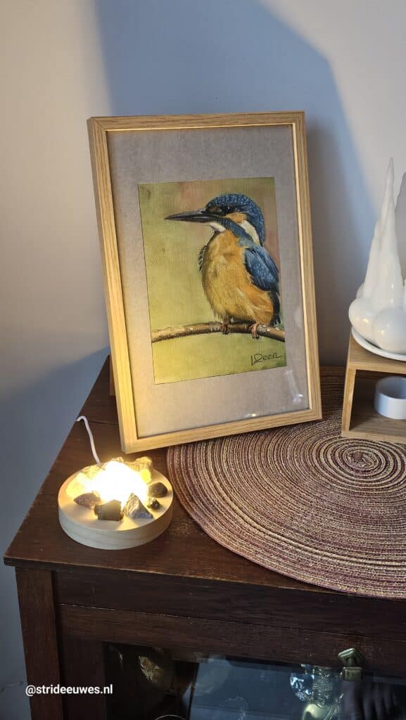 ijsvogel-creatief-kleuren