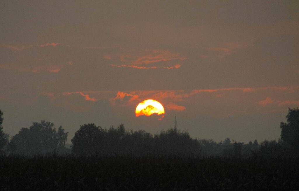 medium-astrid-nijmegen