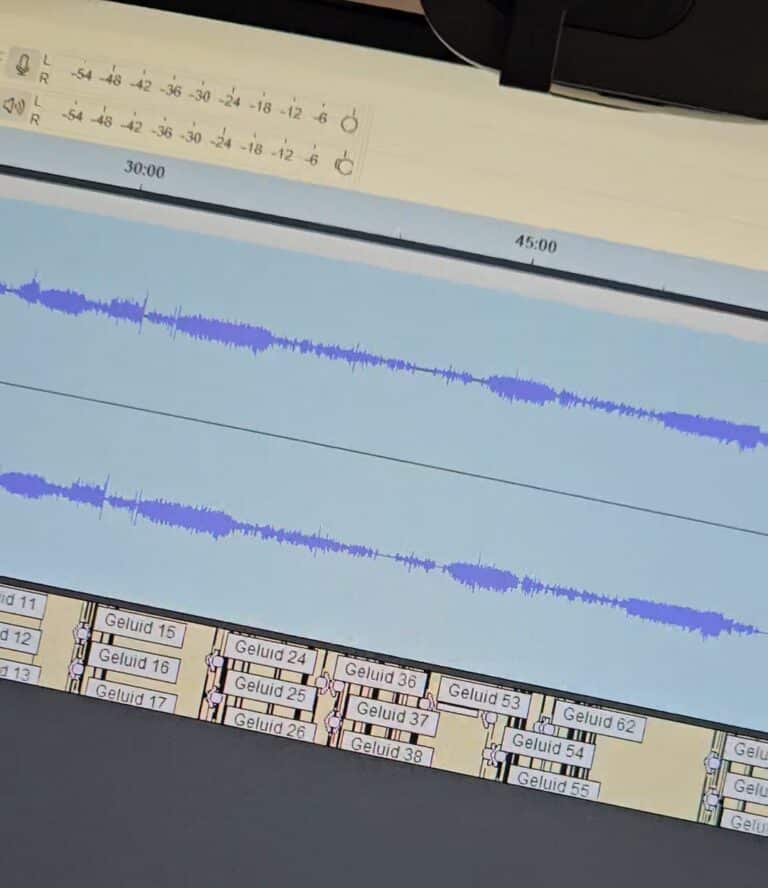 Electronic Voice Phenomena